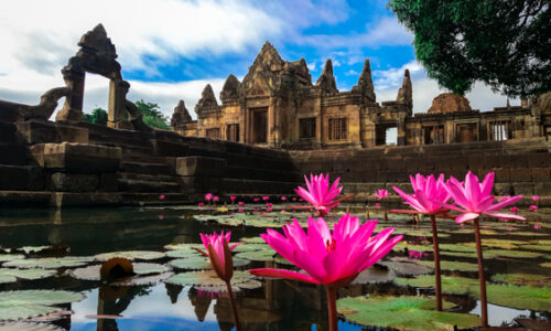 5 dias de experiências sensoriais: comer, sentir, meditar, curar