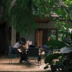 O ecossistema de apps que garante Wi-Fi estável e rotina de trabalho na Ásia