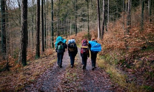 Itinerário Engessado ou Plano Dinâmico: Qual o Melhor para Viajar com Crianças?